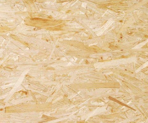 FSC EUDR E0 E1 2440x1220 Oriented Strand Board OSB LSB Flakeboard Chipboard